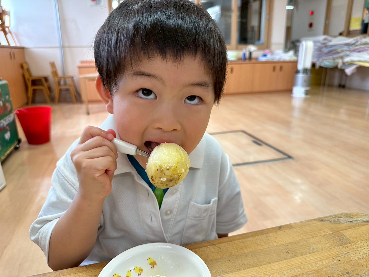 じゃがいも掘り🥔(松原カリーノ保育園）