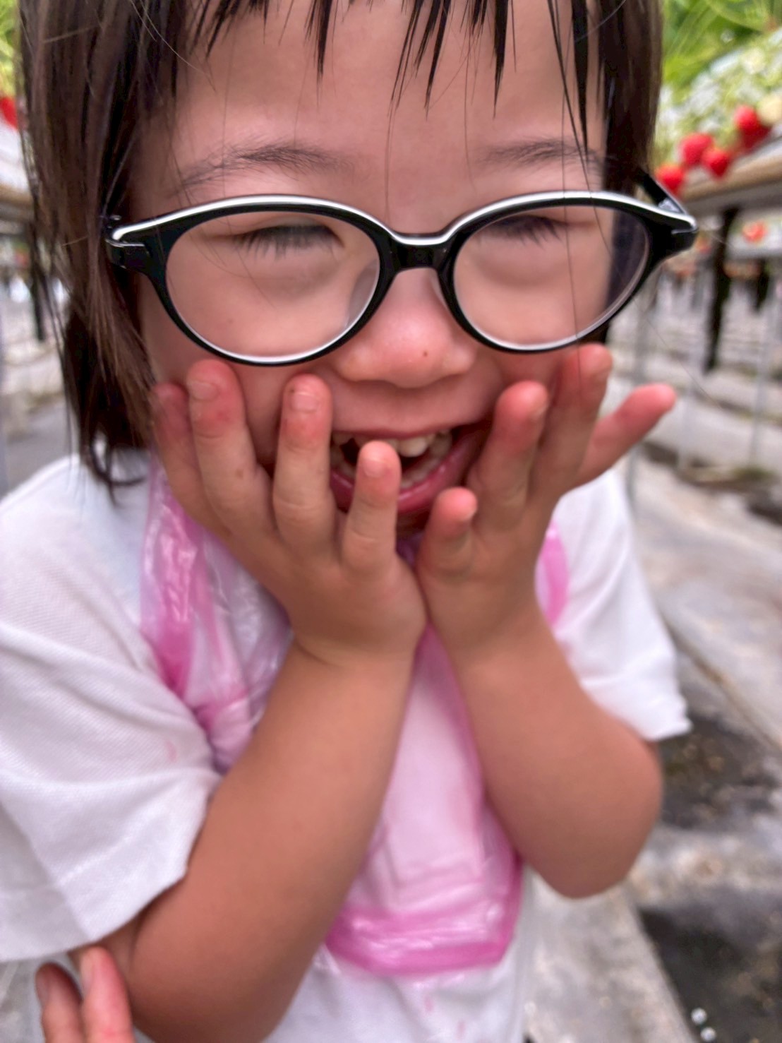 いちご狩り　いずみ小川いちご農園（カリーノ保育園・松原カリーノ保育園）