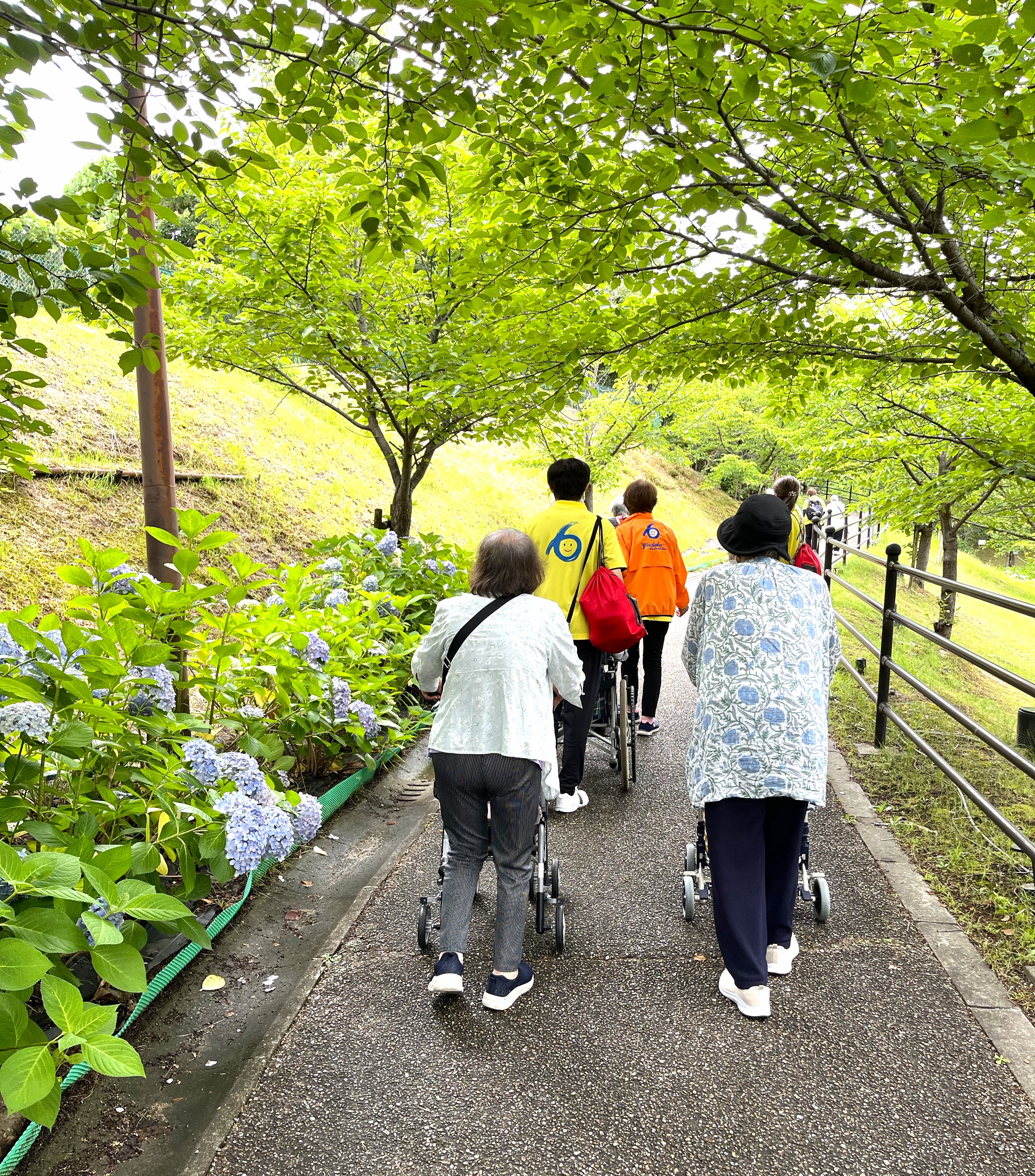 🌈紫陽花お花見゜。◦🌧喜連西デイサービス☔