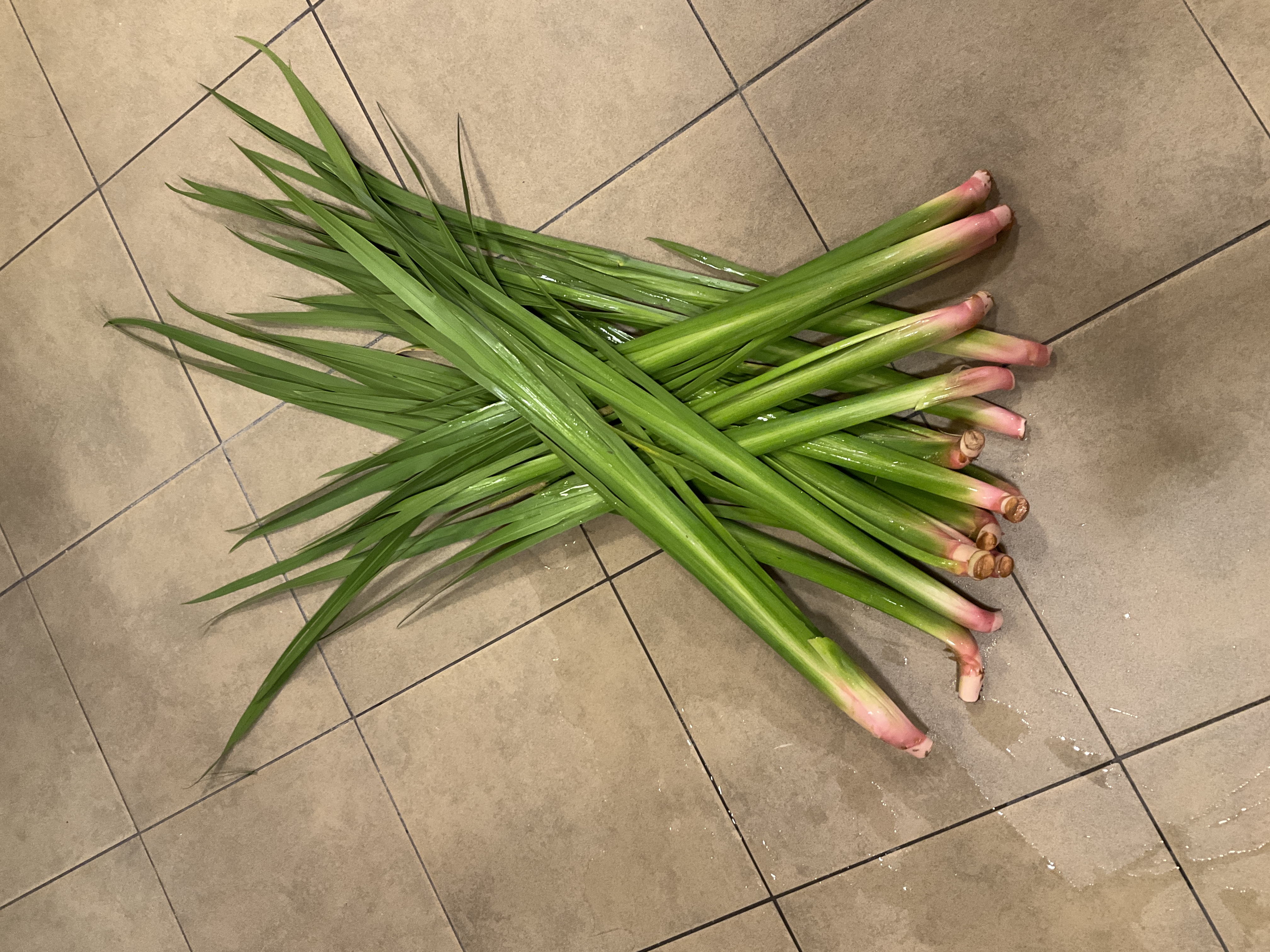 しょうぶ湯（介護付有料老人ホームゆたか）